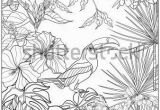 Tropical Flower Coloring Pages Tropical Wild Birds and Plants Tropical Garden Collection