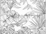 Tropical Flower Coloring Pages Tropical Wild Birds and Plants Tropical Garden Collection