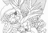 Tropical Flower Coloring Pages Tropicalflowers