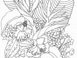 Tropical Flower Coloring Pages Tropicalflowers