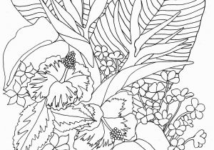 Tropical Flower Coloring Pages Tropicalflowers