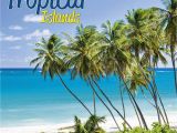 Tropical island Wall Murals Tropical islands Wall Calendar 2020 – Megacalendars