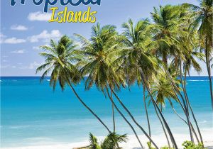 Tropical island Wall Murals Tropical islands Wall Calendar 2020 – Megacalendars