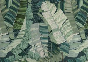 Tropical Mural Ideas Botanicals How to Achieve the Leafy Green Trend with