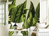 Tropical Murals Paintings Custom Any Size Mural Wallpaper Modern Rain Tropical Palm Banana