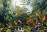 Tropical Murals Paintings Mid Ages Garden forest Removable Wall Mural Paper Sticker Wallpaper
