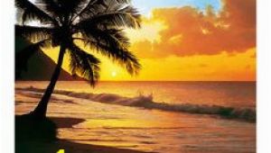 Tropical Sunset Wall Murals 7 Best Sunset Mural Paintings Images