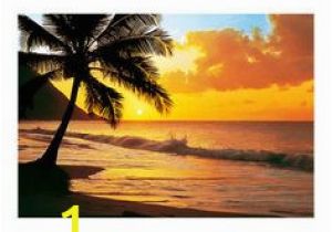 Tropical Sunset Wall Murals 7 Best Sunset Mural Paintings Images