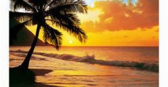 Tropical Sunset Wall Murals 7 Best Sunset Mural Paintings Images