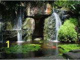 Tropical Waterfall Murals Hidden Waterfall with Pond Wall Mural Tropical Wallpaper