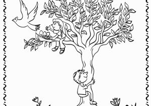 Tu B Shevat Coloring Pages Tu B Shevat Coloring Pages