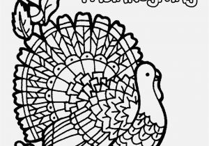 Turkey and Pilgrim Coloring Pages Free Printable Thanksgiving Coloring Pages top Free Printable