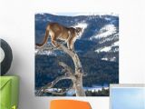 Turn A Photo Into A Wall Mural Mountain Lion Dead Tree Wall Mural