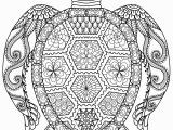 Turtle Coloring Pages for Adults 20 Gorgeous Free Printable Adult Coloring Pages Page 3 Of 22
