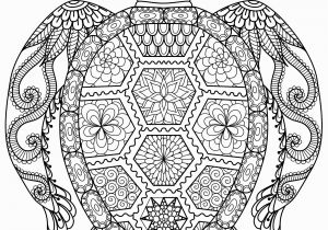 Turtle Coloring Pages for Adults 20 Gorgeous Free Printable Adult Coloring Pages Page 3 Of 22