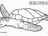 Turtle Coloring Pages for Adults Turtle Coloring Pages Sea Turtle Coloring Page 17 Fresh Realistic