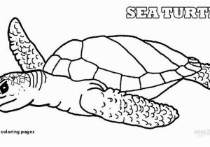 Turtle Coloring Pages for Adults Turtle Coloring Pages Sea Turtle Coloring Page 17 Fresh Realistic