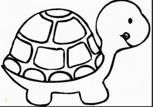 Turtle Coloring Pages Printable Turtle Coloring Page Coloring Pages