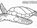 Turtle Coloring Pages Printable Turtle Coloring Pages Lovely Turtle Coloring Fresh Coloring Pages