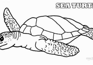 Turtle Coloring Pages Printable Turtle Coloring Pages Lovely Turtle Coloring Fresh Coloring Pages