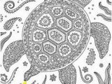 Turtle Mandala Coloring Pages Printable Pin by Muse Printables On Adult Coloring Pages at Coloringgarden