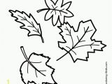 Types Of Leaves Coloring Pages 53 Most Fine Autumn Coloring Pages Free Printable Willpower