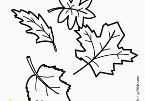 Types Of Leaves Coloring Pages 53 Most Fine Autumn Coloring Pages Free Printable Willpower