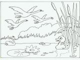 Ugly Duckling Coloring Pages 68 Best Honk Jr Images