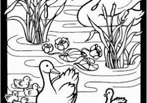 Ugly Duckling Coloring Pages 68 Best Honk Jr Images