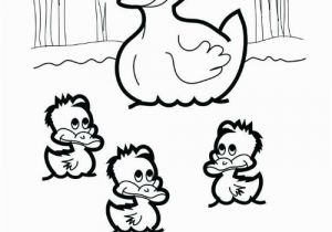 Ugly Duckling Coloring Pages ð±ï¸ 25 Best Memes About Mallard Duck Meme