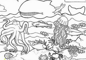 Under the Sea Coloring Pages Free Ocean