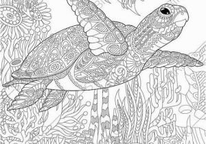 Under the Sea Coloring Pages Printable Coloring Pages for Adults Sea Turtle Adult Coloring Pages