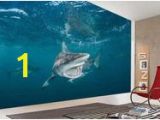 Underwater Wall Murals Uk 177 Best Underwater Wallpaper Images