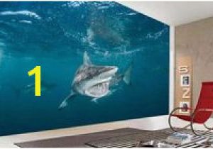 Underwater Wall Murals Uk 177 Best Underwater Wallpaper Images