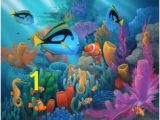 Underwater Wall Murals Uk 28 Best Underwater Murals Images