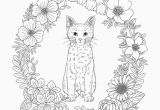 Unicorn Cat Coloring Pages Harmony Nature Adult Coloring Book Pg 39
