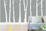 Urban Outfitters Birch Tree Wall Mural 12 Best Birch Tree Mural Images