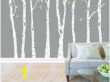 Urban Outfitters Birch Tree Wall Mural 12 Best Birch Tree Mural Images