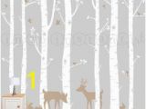 Urban Outfitters Birch Tree Wall Mural 12 Best Birch Tree Mural Images