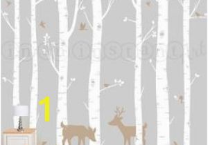 Urban Outfitters Birch Tree Wall Mural 12 Best Birch Tree Mural Images