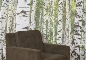 Urban Outfitters Birch Tree Wall Mural 42 Best Birch Trees Images