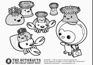 Vampire Squid Coloring Page Octonauts Coloring Pages to Print Famous Octonaut Coloring Pages