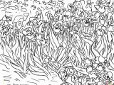 Van Gogh Coloring Pages for Kids Thiel Academy Picture Study Vincent Van Gogh