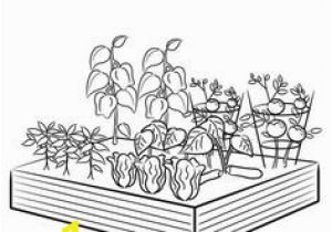 Vegetable Garden Coloring Pages Printable 15 Best 4 H Garden Coloring Pages Images