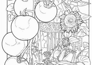 Vegetable Garden Coloring Pages Printable Color with Images