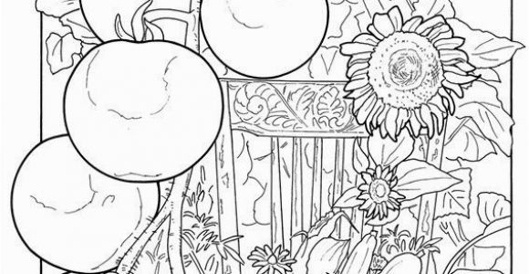 Vegetable Garden Coloring Pages Printable Color with Images