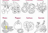 Vegetable Garden Coloring Pages Printable Ve Ables Salad Coloring and Crafting Salade De Legumes