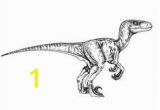 Velociraptor Blue Jurassic World Coloring Pages 834 Best Dinosaurs Coloring Images In 2020