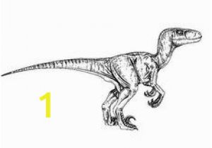 Velociraptor Blue Jurassic World Coloring Pages 834 Best Dinosaurs Coloring Images In 2020