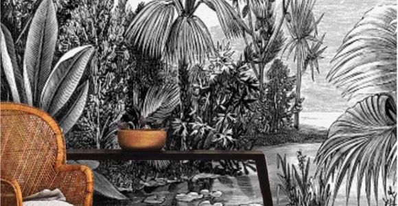 Vintage Jungle Wall Mural Jungle Wallpaper Bohemian Wall Mural Tropical Palm Retro